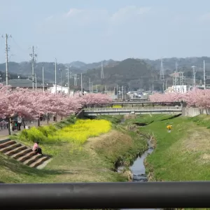 気付けば入梅も過ぎて　【御津】のサムネイル