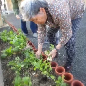 1年間ありがとうございました♪　～御津～のサムネイル