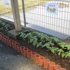 歩数計チャレンジ　☆御津ブログ☆のサムネイル