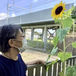 夏だ！祭りだ！2022年も大盛り上がり！☆御津ブログ☆のサムネイル